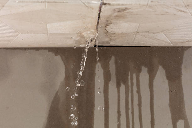 Professional Water Extraction technician working in Clarendon Hills, IL